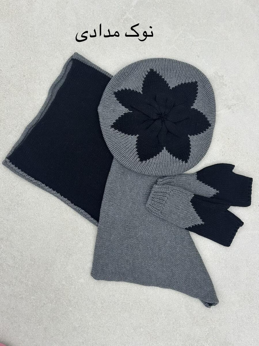 ست 3تیکه کلاه بافت فرانسوی و شال گردن رینگی و دستکش id18